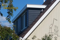 Blokker_Houtduif20