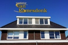 Heiloo_Liguster_10_12_14_1