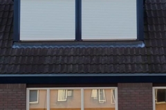AlkmaarVogel4
